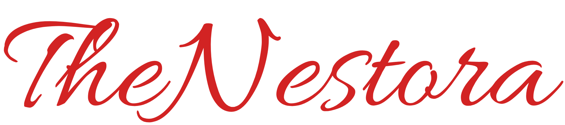 theNestora.shop  